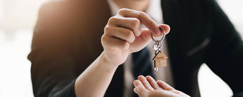 Recente succesverhalen Coderingvrij