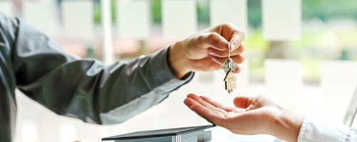 Recente succesverhalen Coderingvrij